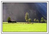 bei Leogang-Saalfelden